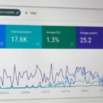 Developer monitoring a WordPress site during a traffic spike